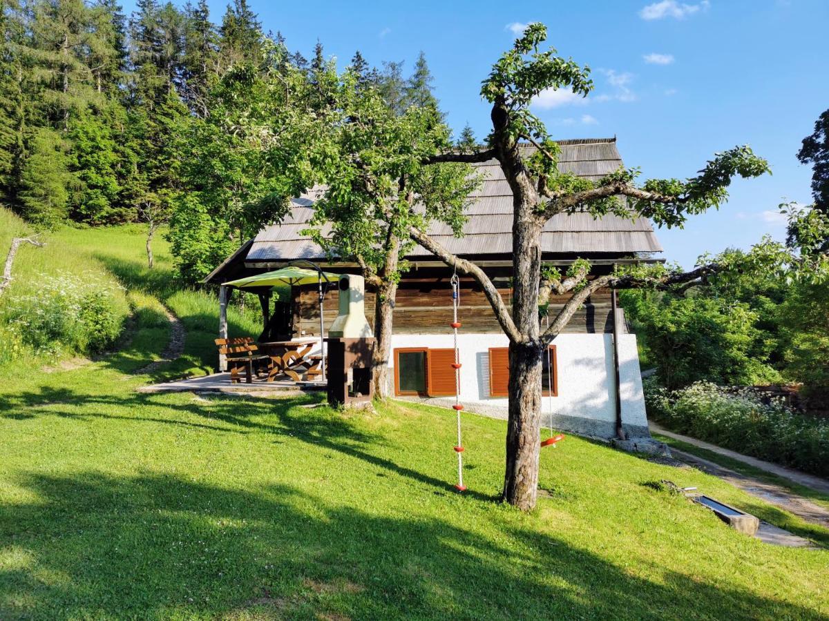 Natur Pur Pikovo Villa Crna na Koroskem Exterior photo