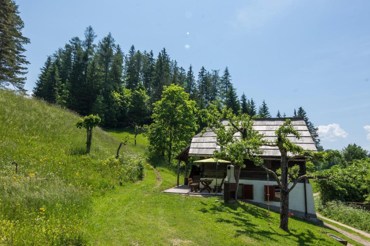 Natur Pur Pikovo Villa Crna na Koroskem Exterior photo